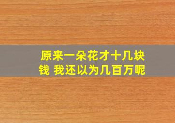 原来一朵花才十几块钱 我还以为几百万呢